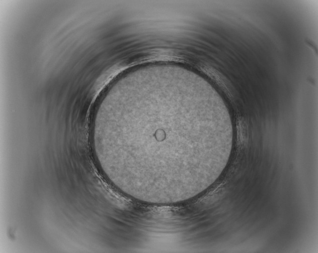 X0000102280828200808011448