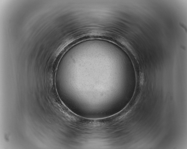 X0000102280829200808011448