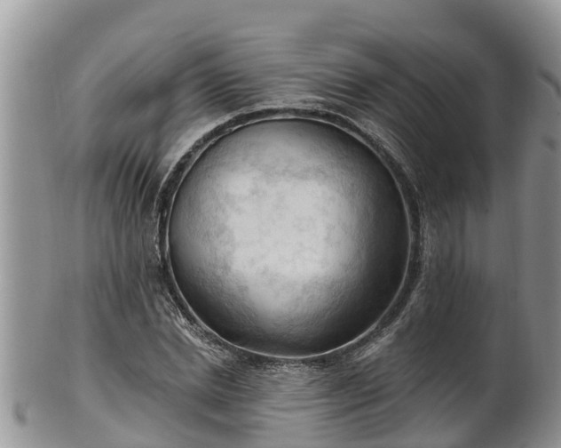 X0000102280830200808011448