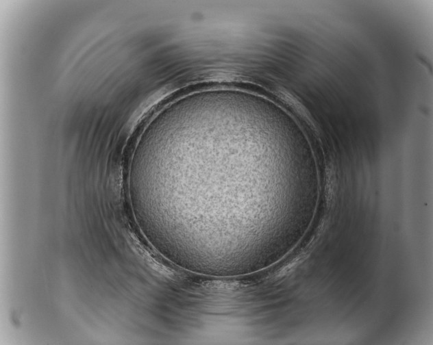 X0000102280831200808011448