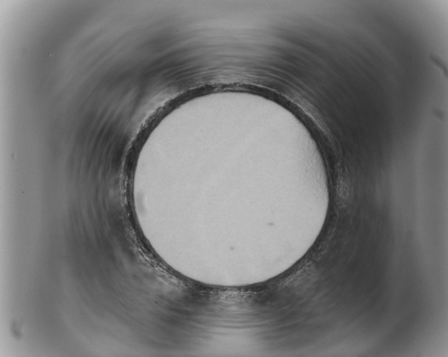 X0000102280832200808011448