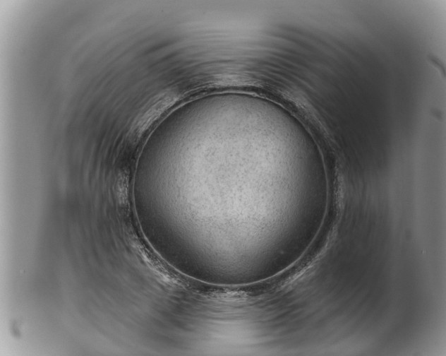 X0000102280833200808011448