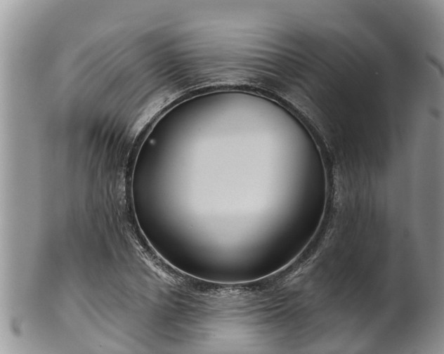 X0000102280834200808011448