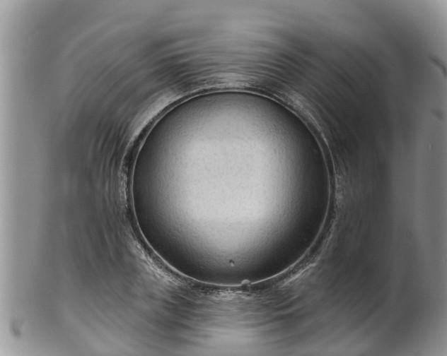 X0000102280835200808011448