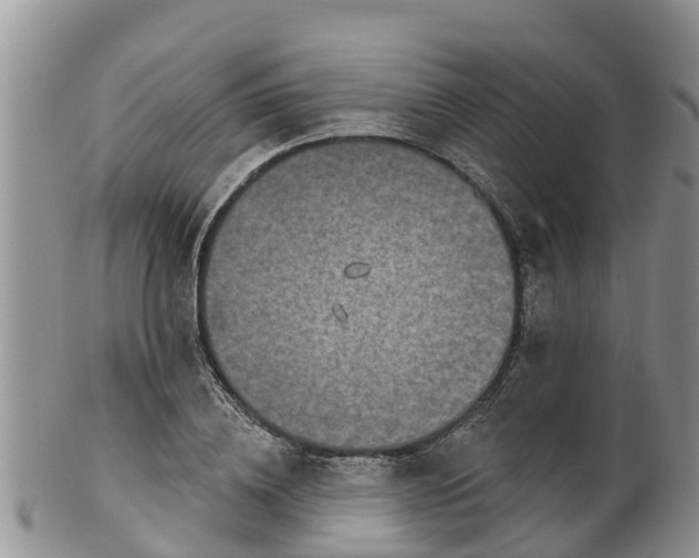 X0000102280836200808011448