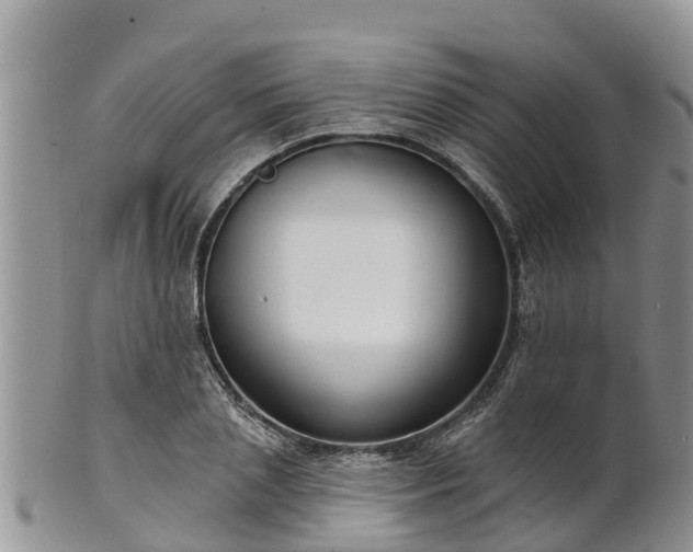 X0000102280837200808011448