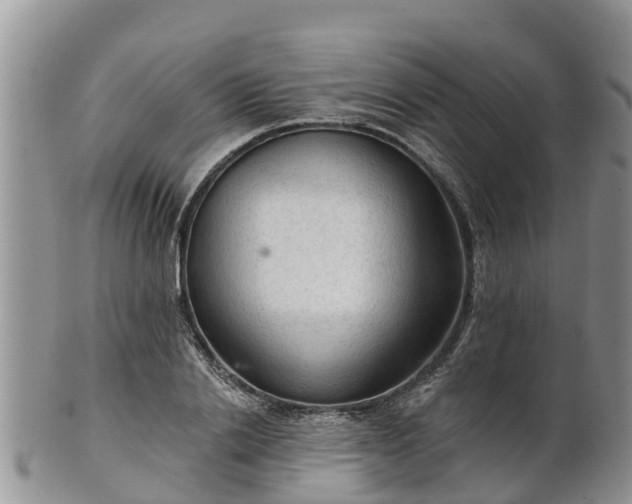 X0000102280838200808011448