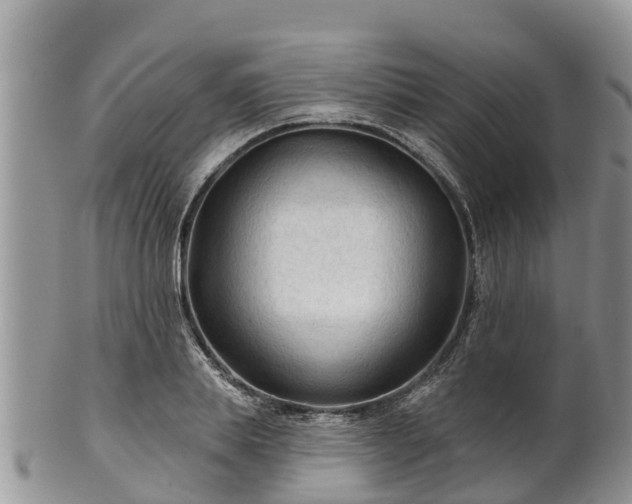 X0000102280839200808011448