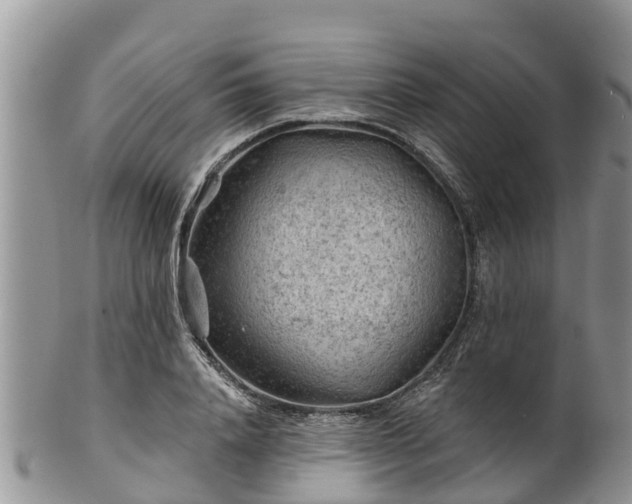 X0000102280840200808011448