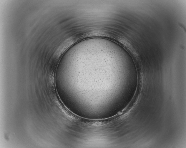 X0000102280841200808011448