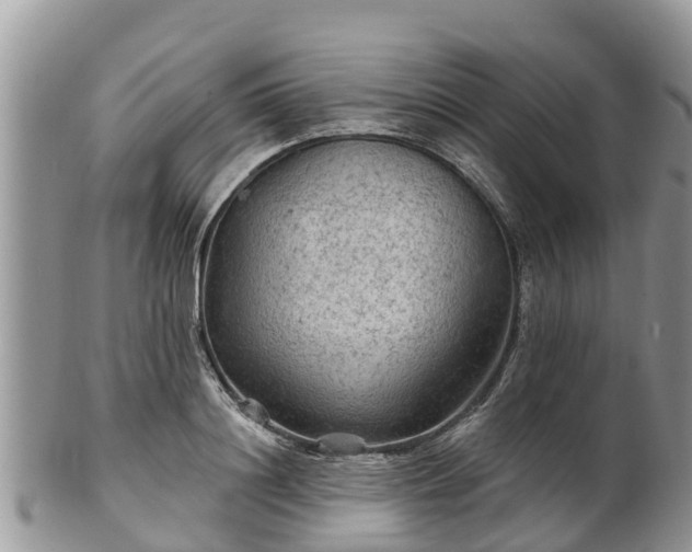 X0000102280844200808011448