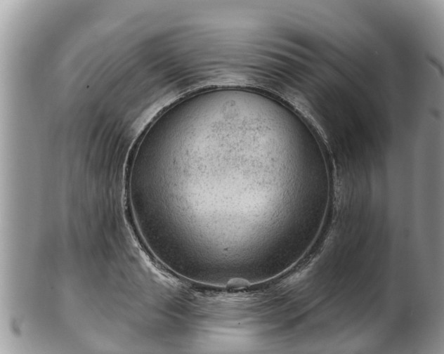 X0000102280845200808011448