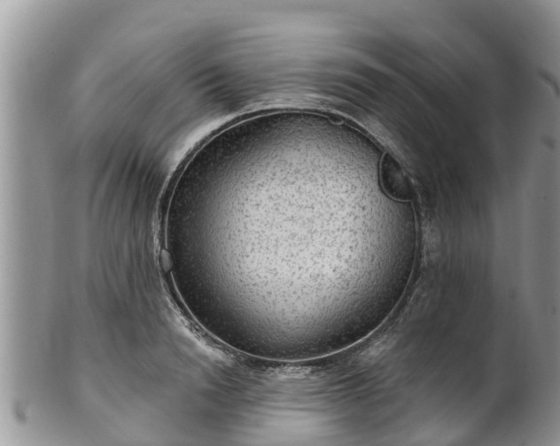 X0000102280846200808011448