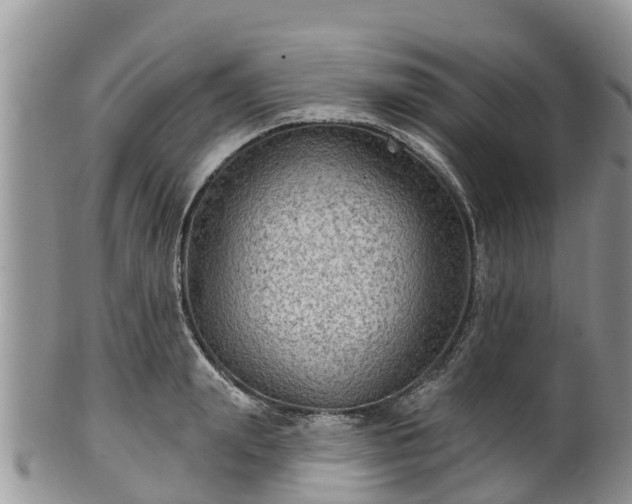 X0000102280847200808011448