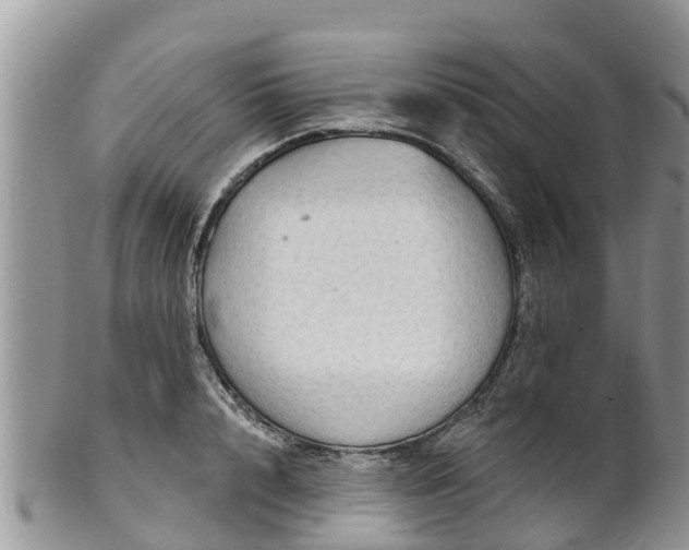 X0000102280848200808011448