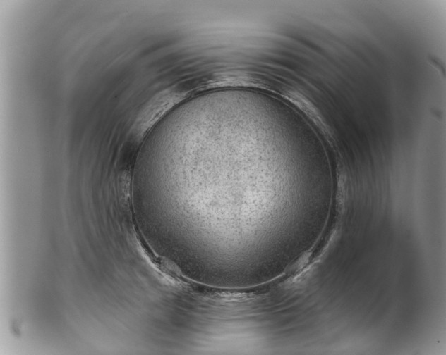 X0000102280849200808011448