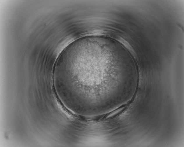 X0000102280850200808011448