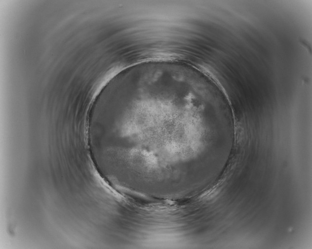 X0000102280851200808011448