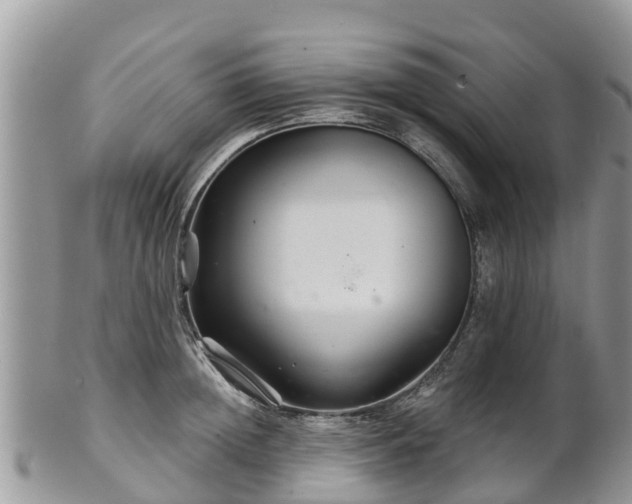 X0000102280852200808011448