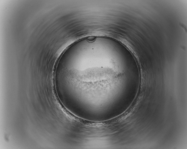 X0000102280853200808011448