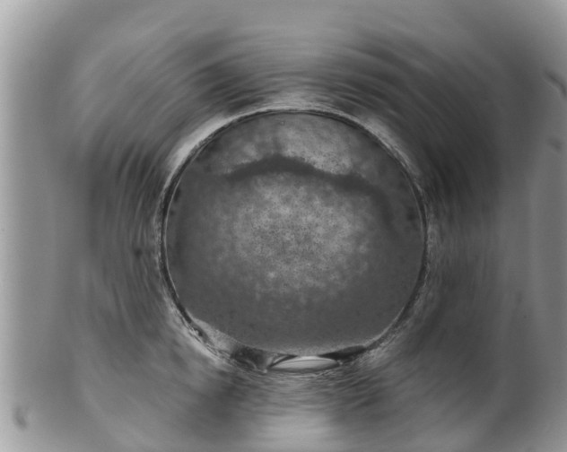 X0000102280854200808011448