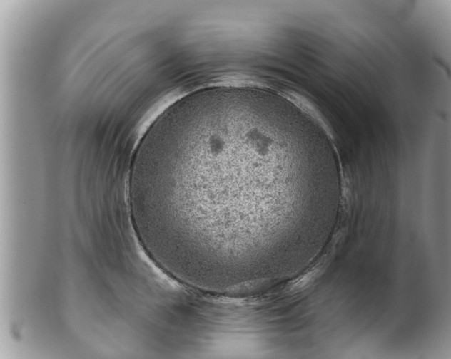 X0000102280855200808011448