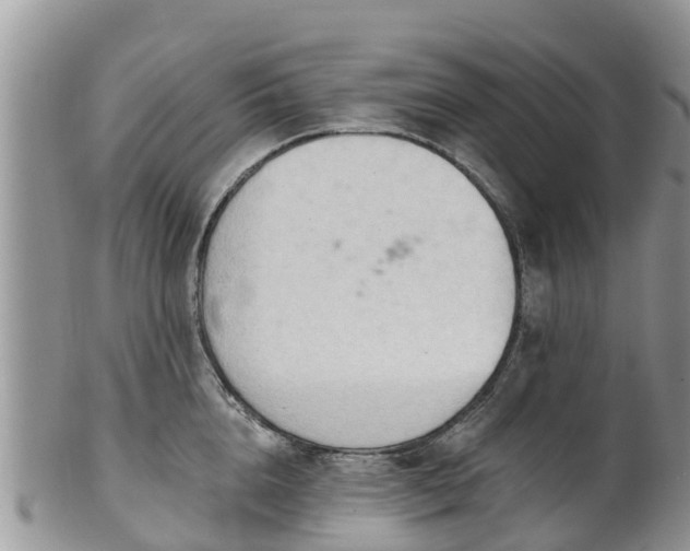 X0000102280856200808011448