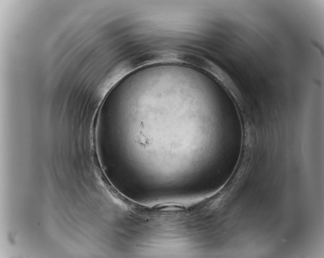 X0000102280858200808011448