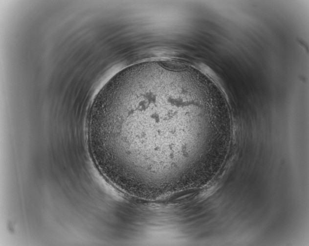 X0000102280859200808011448