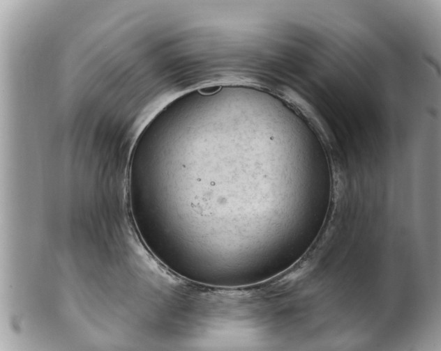 X0000102280860200808011448