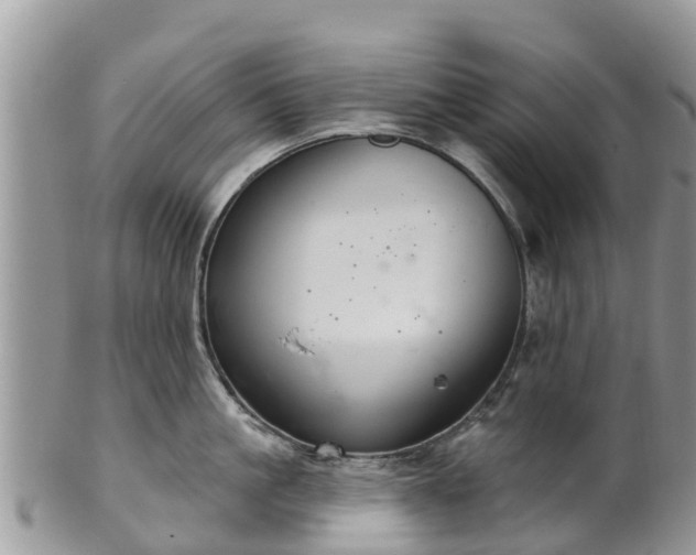 X0000102280861200808011448