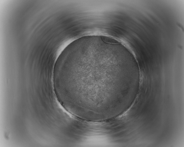 X0000102280863200808011448