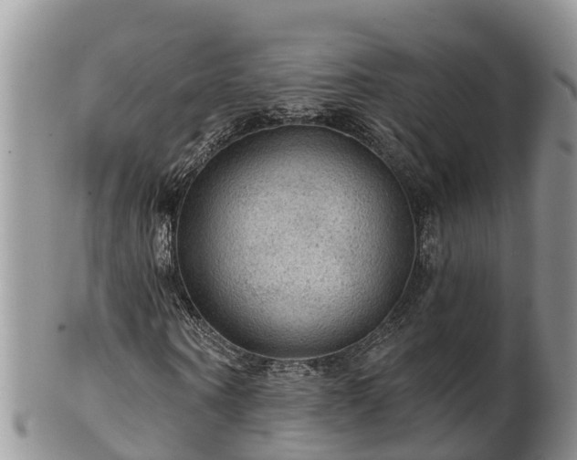 X0000102280866200808011448