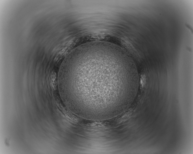 X0000102280867200808011448