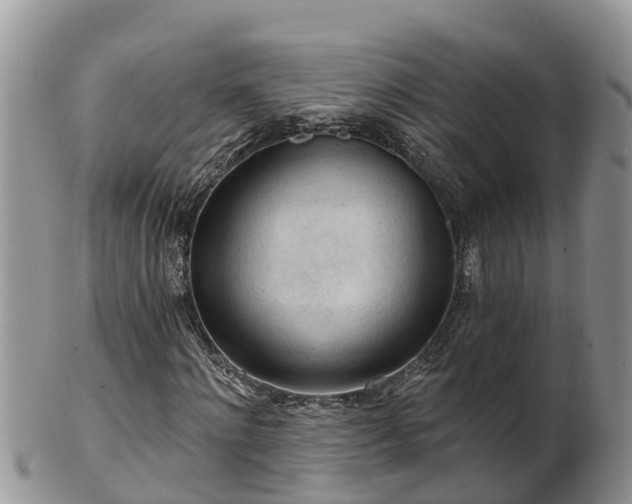 X0000102280868200808011448