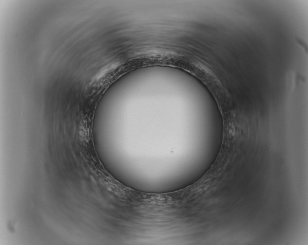 X0000102280869200808011448