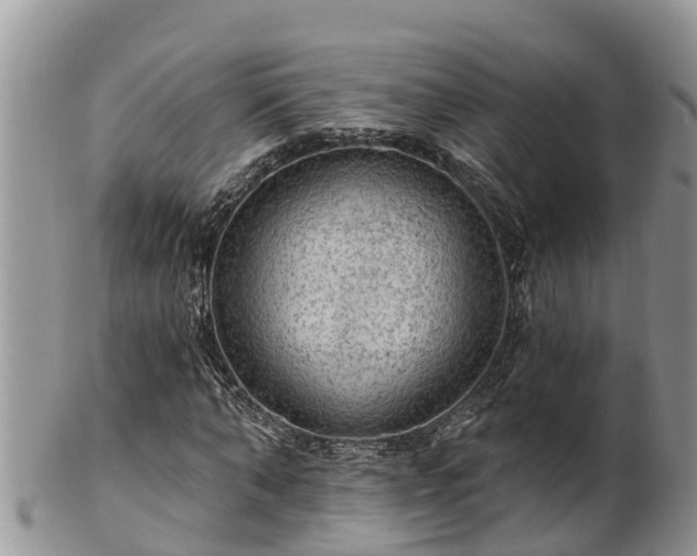 X0000102280870200808011448