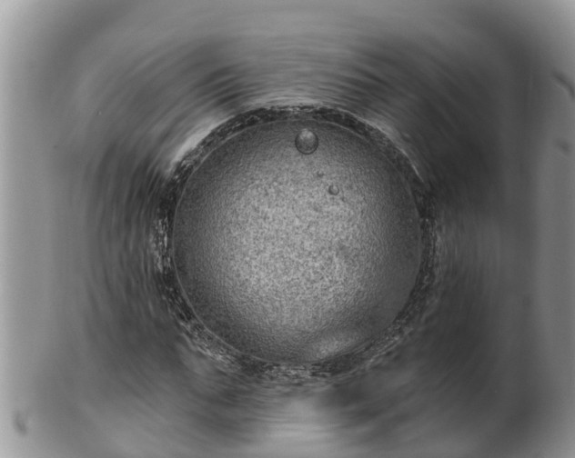 X0000102280871200808011448