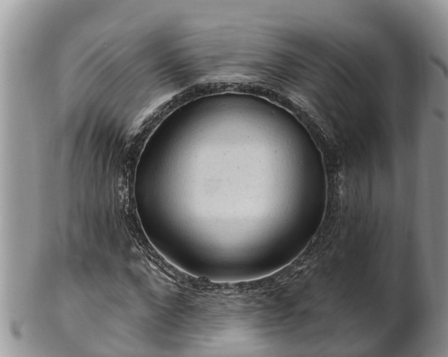 X0000102280872200808011448