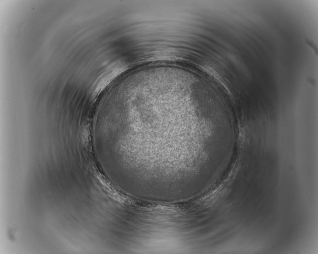 X0000102280874200808011448