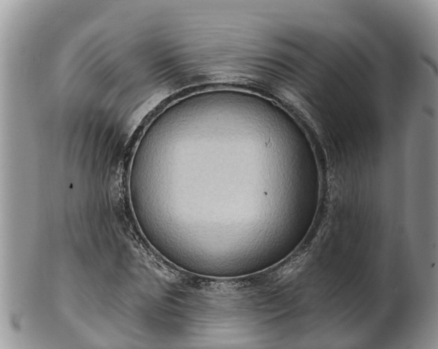 X0000102280875200808011448