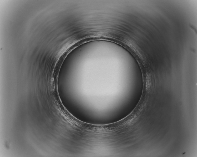 X0000102280876200808011448