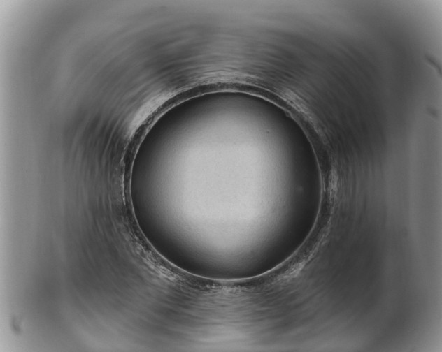 X0000102280877200808011448