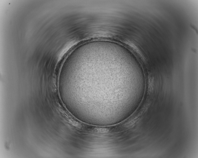 X0000102280878200808011448