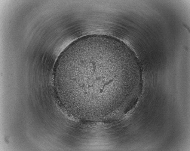 X0000102280879200808011448