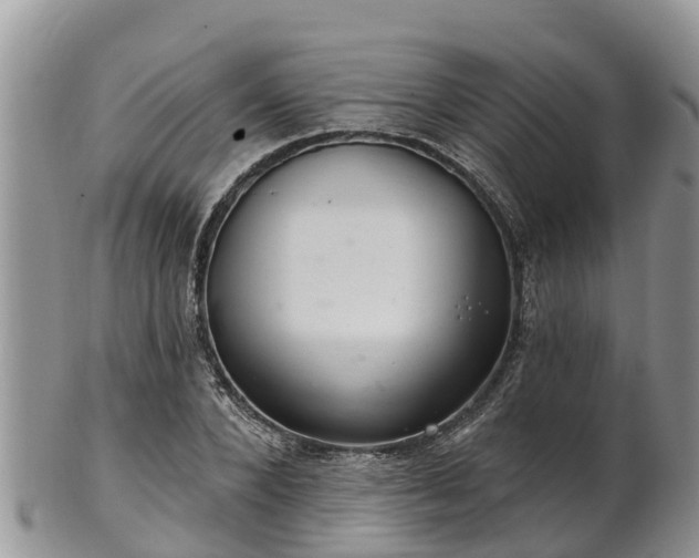 X0000102280880200808011448