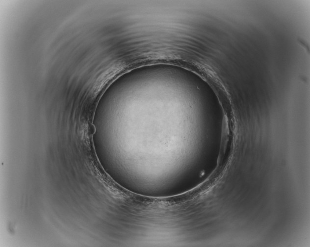 X0000102280881200808011447