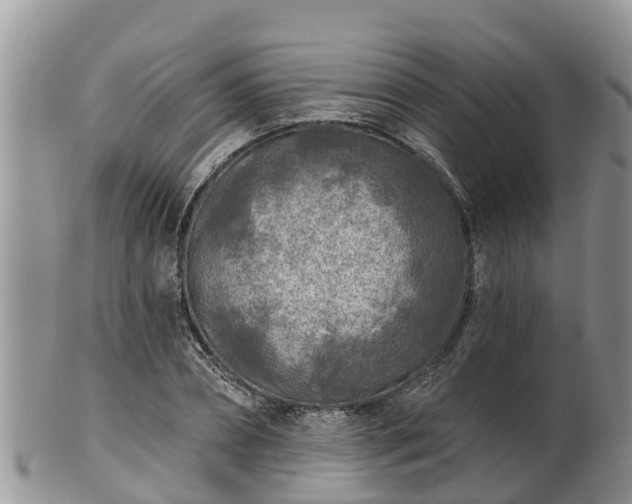 X0000102280882200808011447