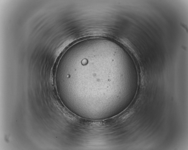 X0000102280883200808011447