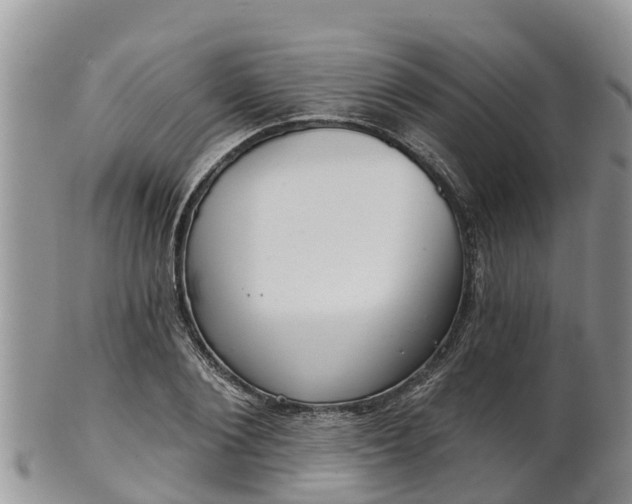 X0000102280884200808011447